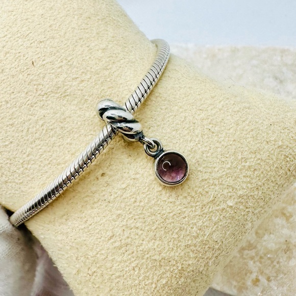 EUC Pandora 790435AM Sterling Silver Amethyst Disk Dangle Charm - Picture 9 of 13